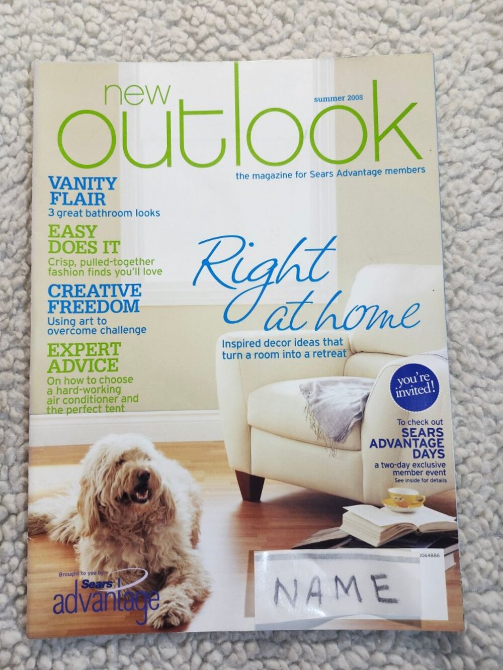 New Outlook Sears Advantage Magazine Summer 2008 Right At Home Dog Photo